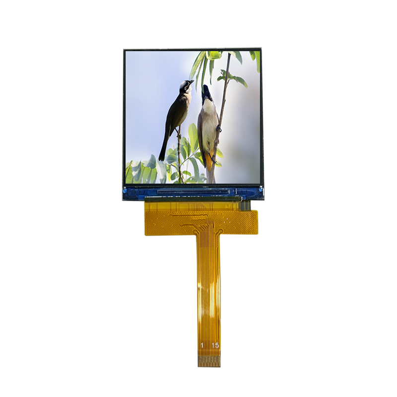 Module LCD TFT IPS à angle de vision complet de 1,54 pouces